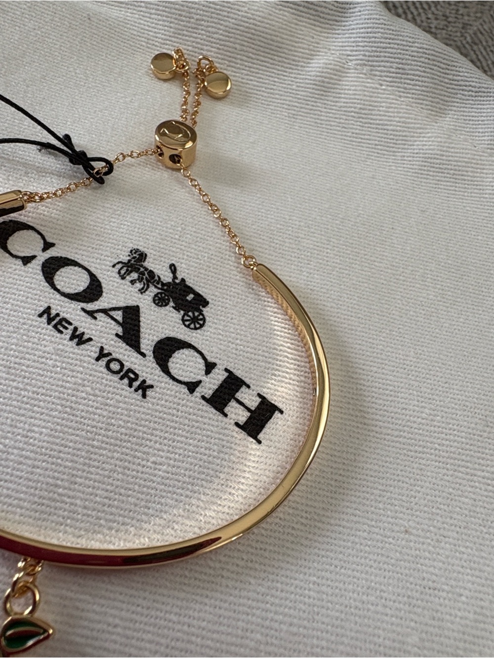 Coach Cherry Bracelet - Picture 7 of 12